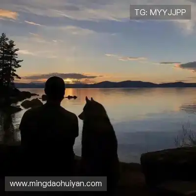 韩宇硕